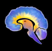 Chapter icon for the Emory University Chapter