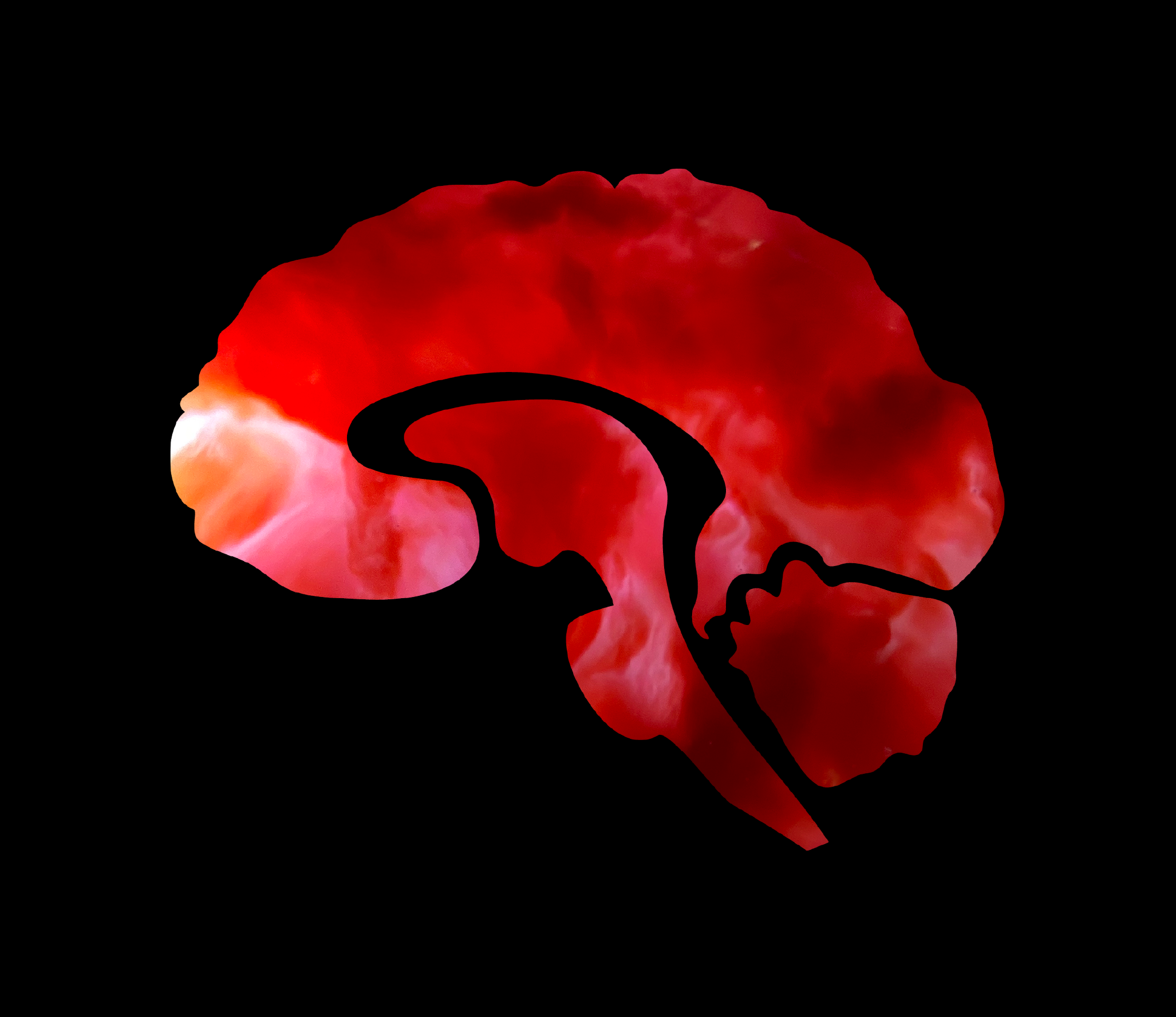 Chapter icon for the Temple University Chapter