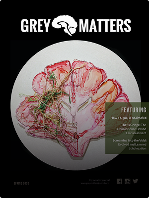 Article cover of most recent Grey Matters Issue