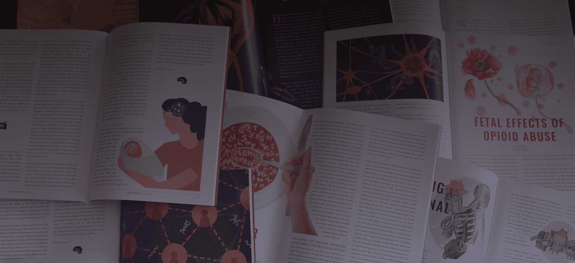 A spread of a few opened greymatters journals